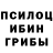 Псилоцибиновые грибы мицелий Napartu