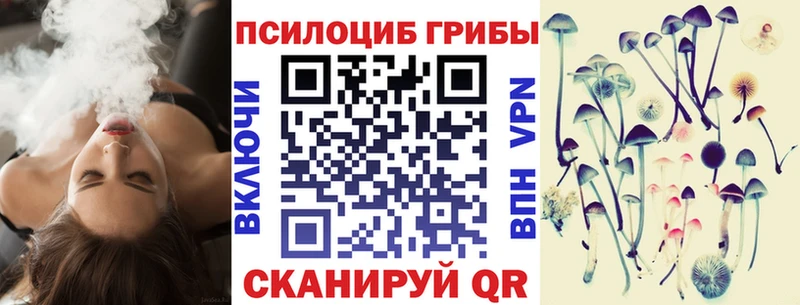 Галлюциногенные грибы прущие грибы  сколько стоит  OMG   Людиново 